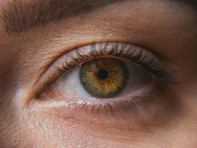 Close look at eye training tool